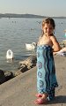 DSC00534 00